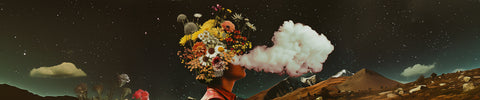 WHY SMOKING HERBS